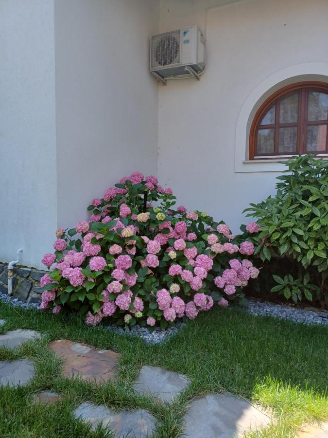 The Pearl Of Balaton Villa Szigliget Exterior photo