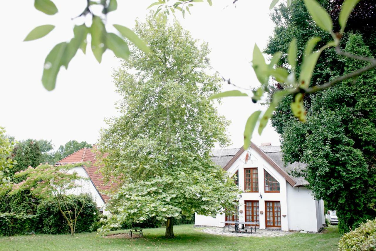 The Pearl Of Balaton Villa Szigliget Exterior photo